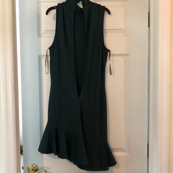 Torn by Ronny Kobo Dress - Picture 5 of 8